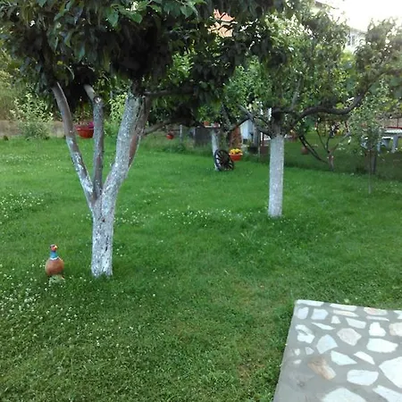 Casa de hóspedes Demika *